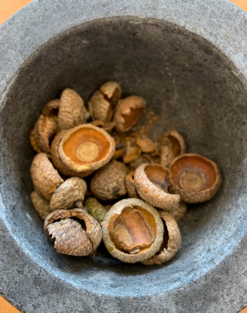 Acorn caps in a bowl